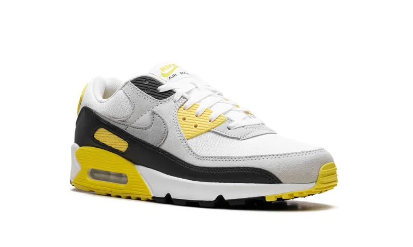 Nike Air Max Air Max 90 'White Lightning'